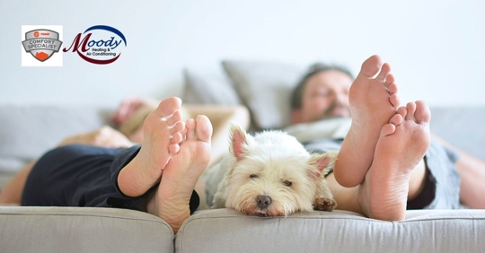 Man, woman, and dog laying down.